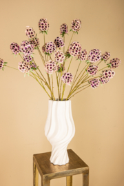 723419 | Amaryllis scabiosa spray - pink | PTMD