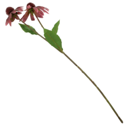 BZ1540 | Kunstbloem Rudbeckia 54 cm - paars | HomeBound by KY 