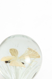 7622343 | Ornament Ø8x8 cm BUTTERFLY - glas crème | Light & Living 