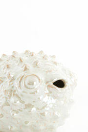 7606246 | Ornament 25,5x14,5x14 cm FISH - crème parelmoer | Light & Living