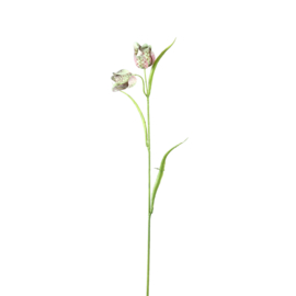 721114 | Garden Flower Green fritillaria spray with leaves | PTMD - Binnenkort weer verwacht!