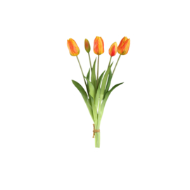 726211 | Tulip flower bush long (5psc) - orange | PTMD