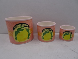 AS5034 | Bloempot middel - citroen | HomeBound by KY