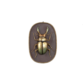 733022 | Adalay wall hanger - gold beetle | PTMD