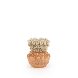 825010054 | Vaas Ciro - 17,5x21cm | Isaa