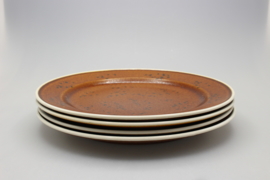 FLAT PLATE Ø 24 CM