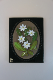 PLAQUE NO. 888 - "SKOGSSTJÄRNA" (ARCTIC STARFLOWER)