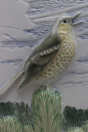PLAQUE NO. 291-3 - "TALTRAST" (SONG THRUSH)
