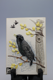 PLAQUE NO. 291-9 - "STARE" (COMMON STARLING)