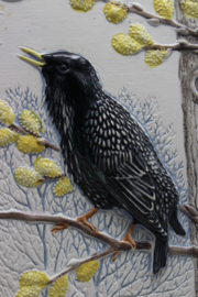PLAQUE NO. 291-9 - "STARE" (COMMON STARLING)