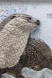 PLAQUE NR. 270 - "UTTER" (OTTER)