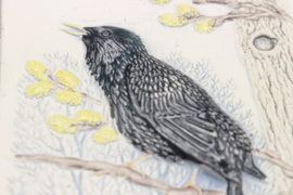 PLAQUE NO. 291-9 - "STARE" (COMMON STARLING) (B)