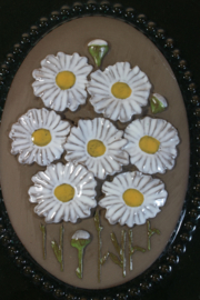 PLAQUE NO. 879 - "PRÄSTKRAGE" (OX-EYE DAISY) (B)