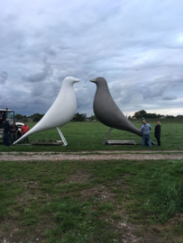 Enorme vogels voor uw evenement