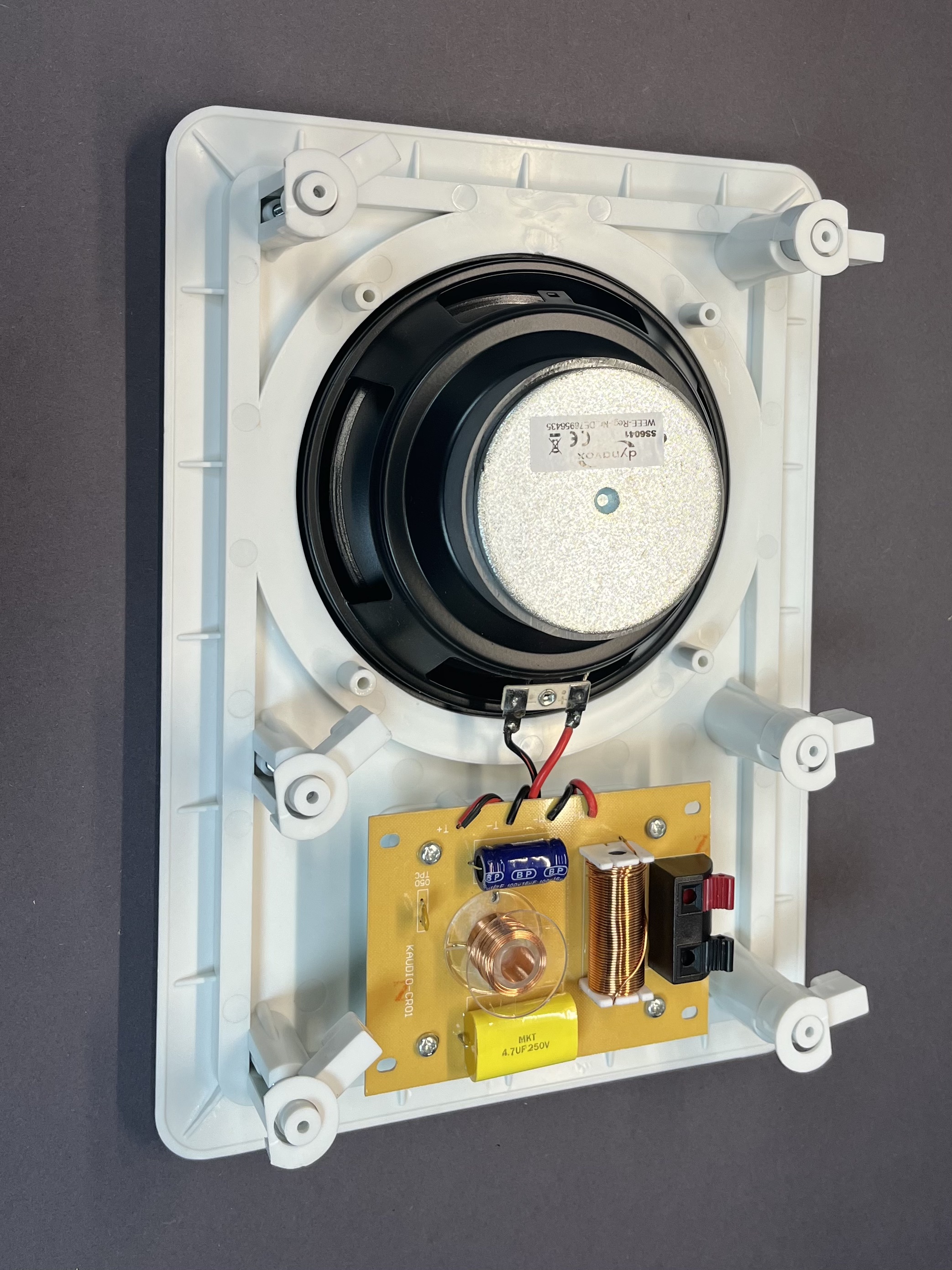 2-W INBOUWLUIDSPREKER-PANEL