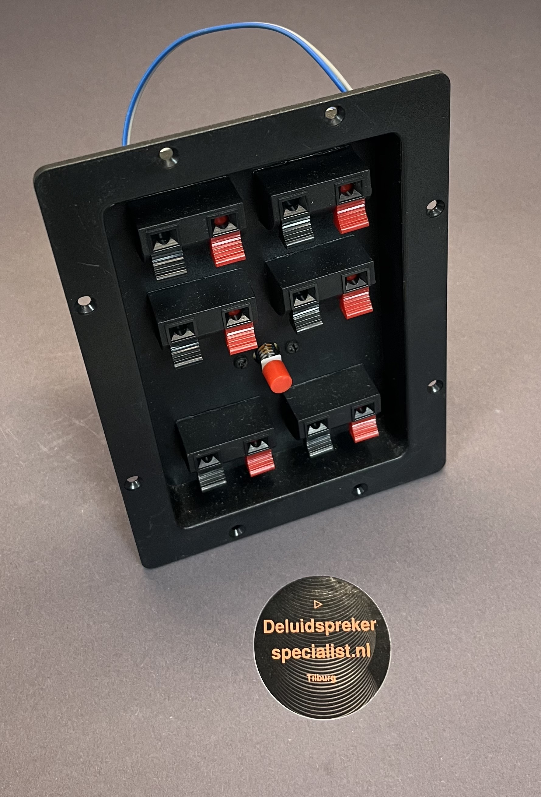 SUBWOOFER Filter met Satelliet aansluiting 100watt