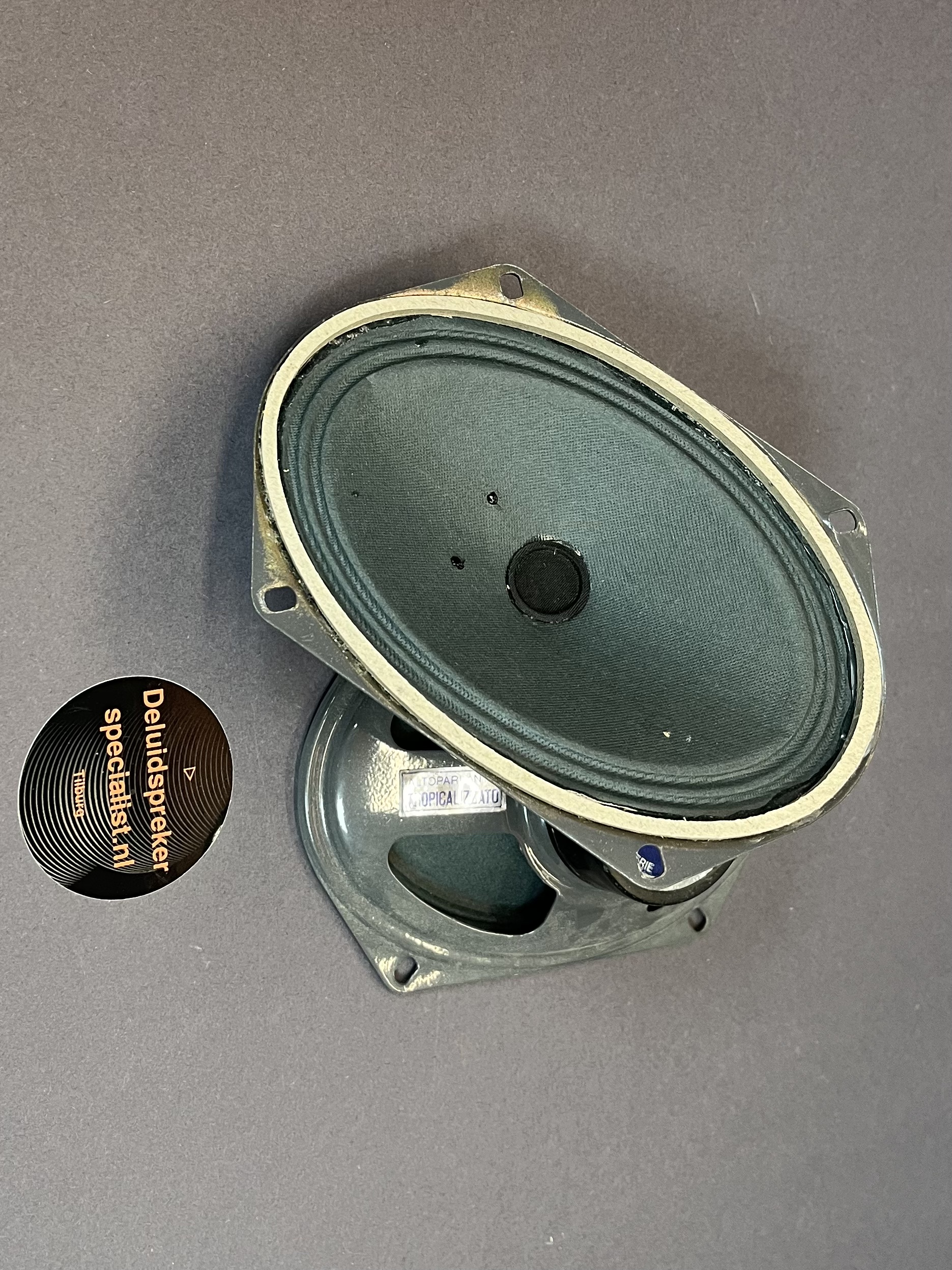 ALTOPARANTI HIFI Ovaal speaker  4 ohm