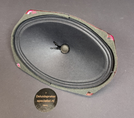 6x9 inch ovaal standaard luidspreker  AD6980/8