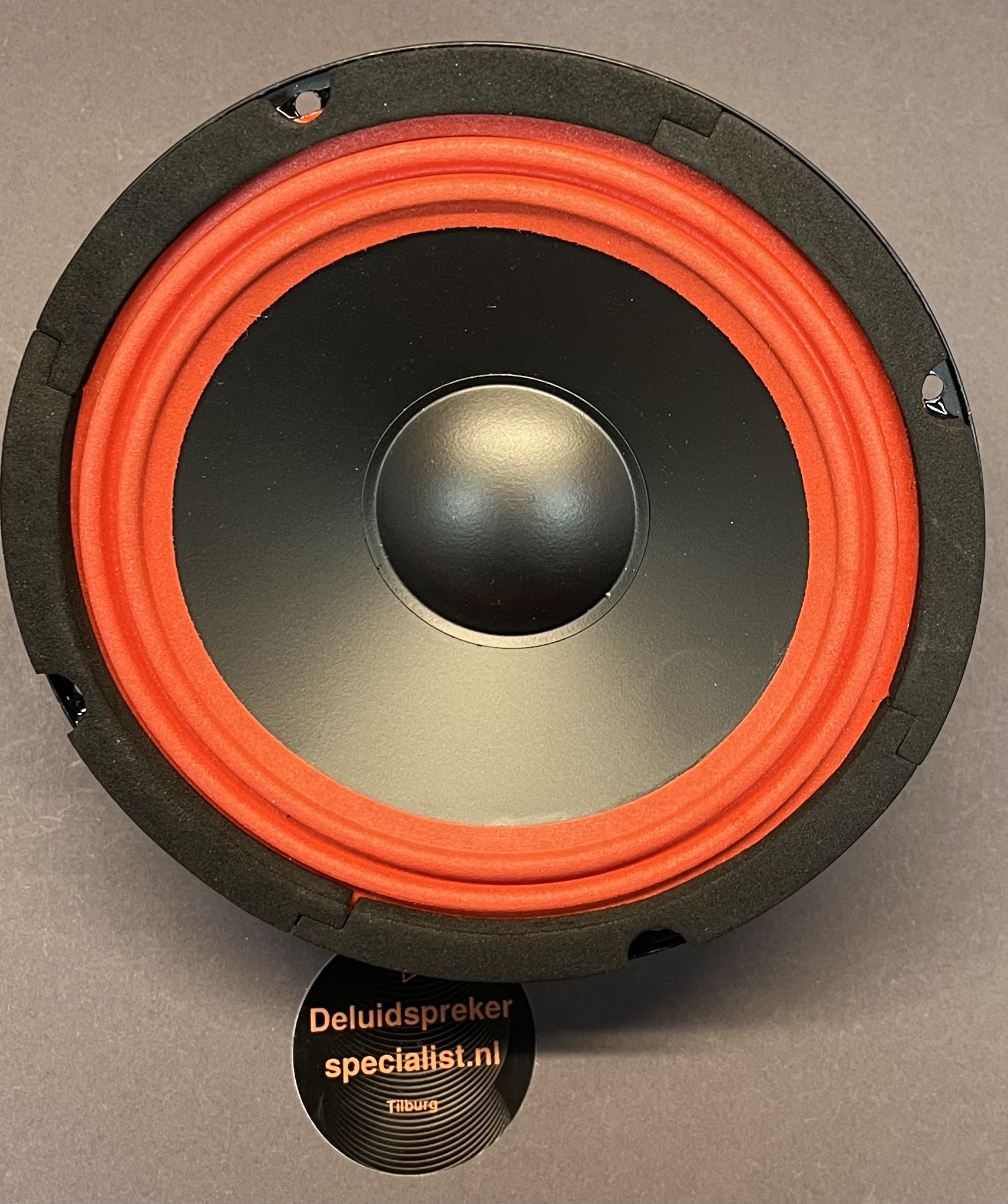 Bass YDD180-31G.  4 OHM