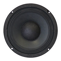 6.5 Inch Woofer (16,5cm)