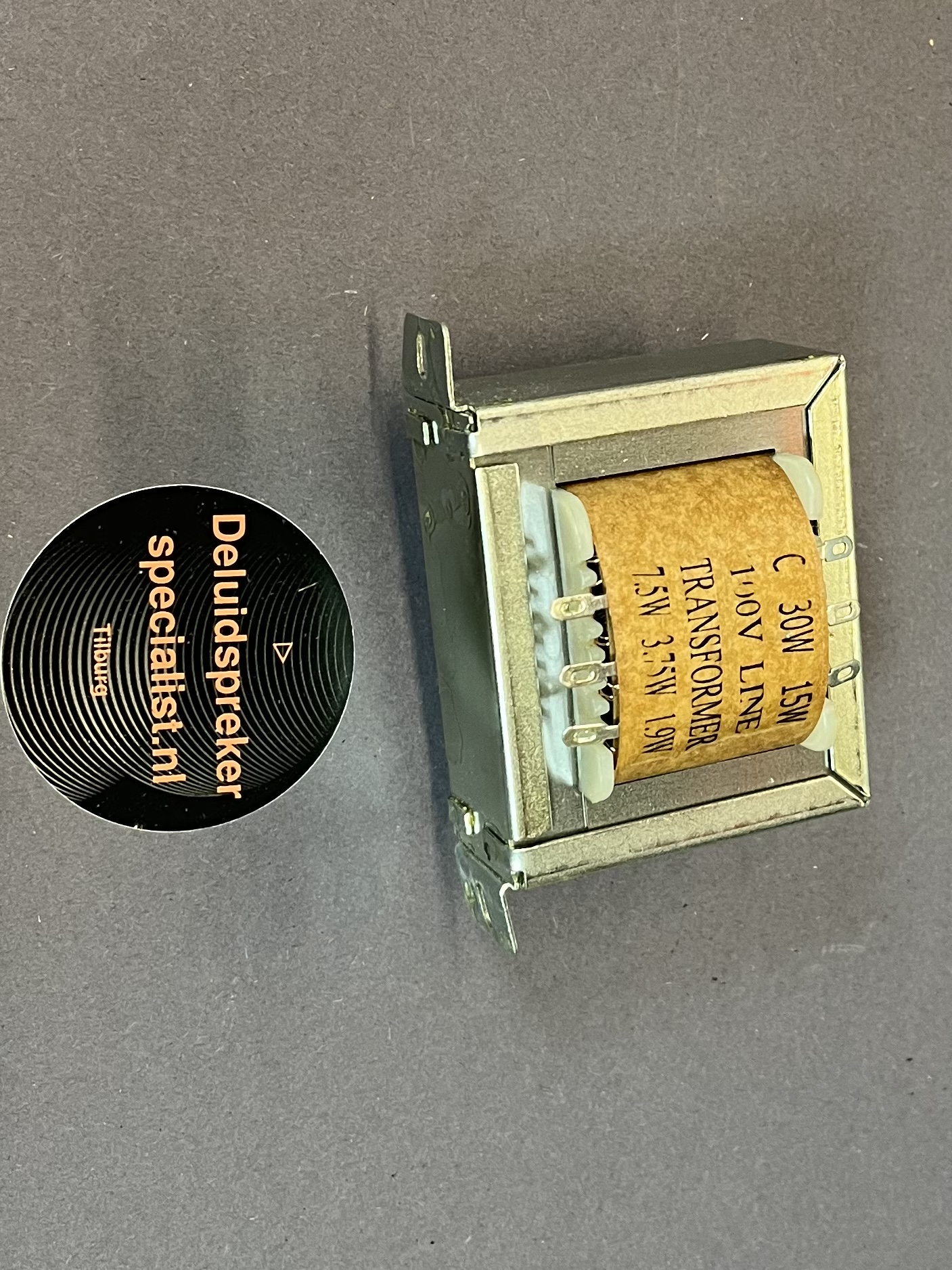ADASTRA 100V Line Transformer