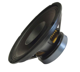 Fullrange speaker 250mm 100W