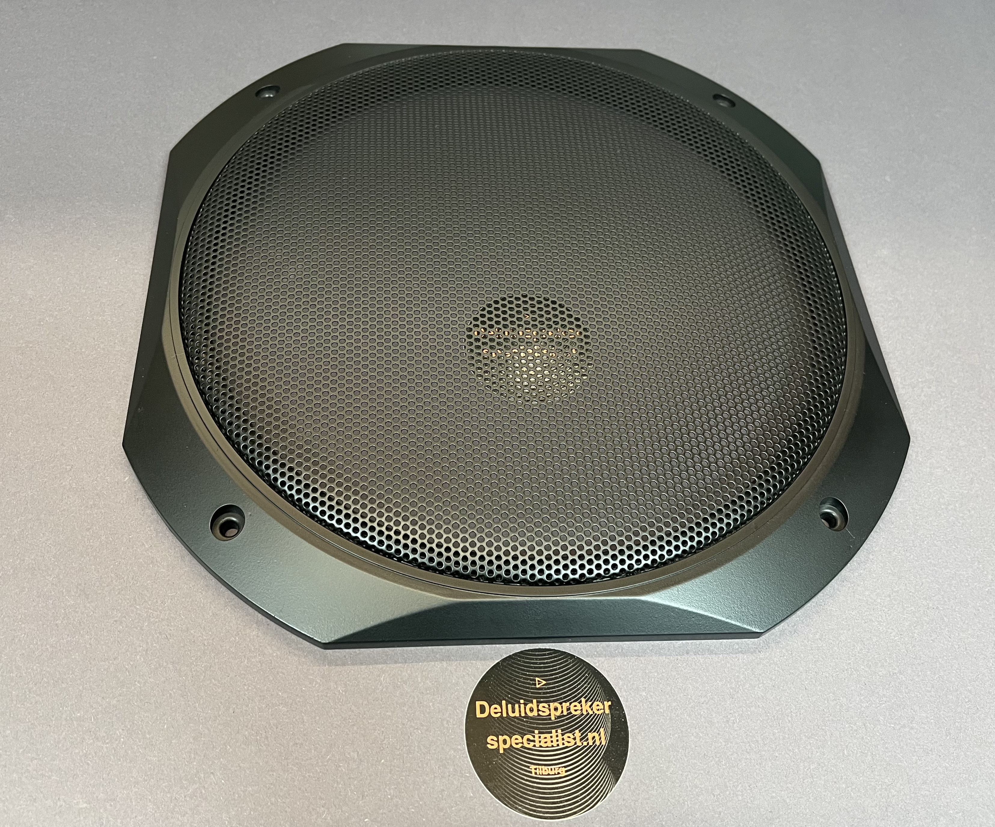 Visaton Rooster  10 inch  L925
