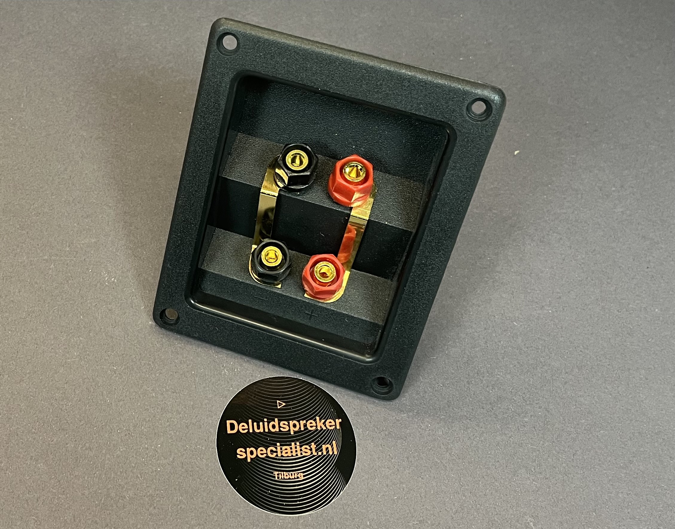 Dubbele luidspreker terminal