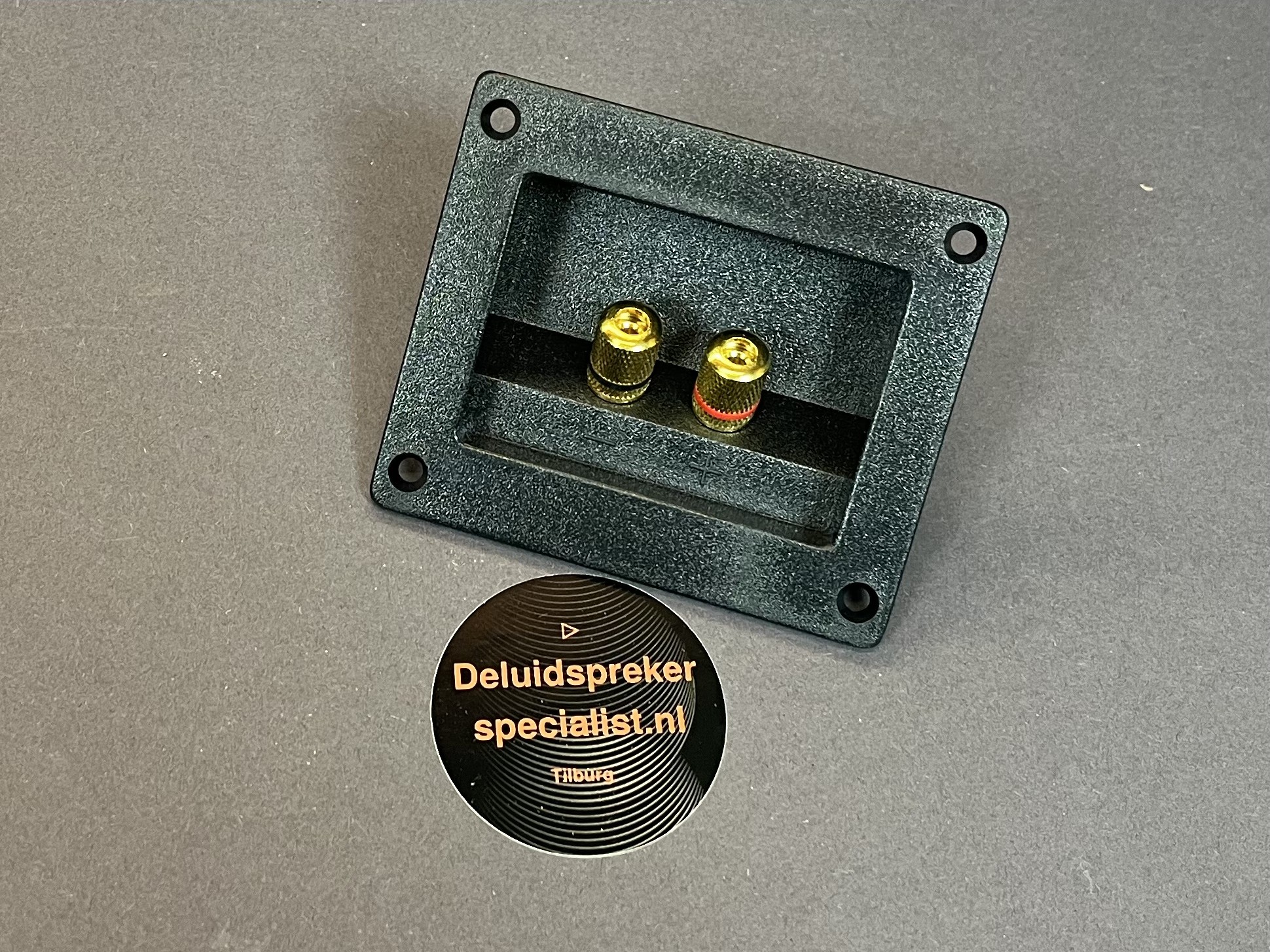 Aansluit terminal verguld 70x50mm
