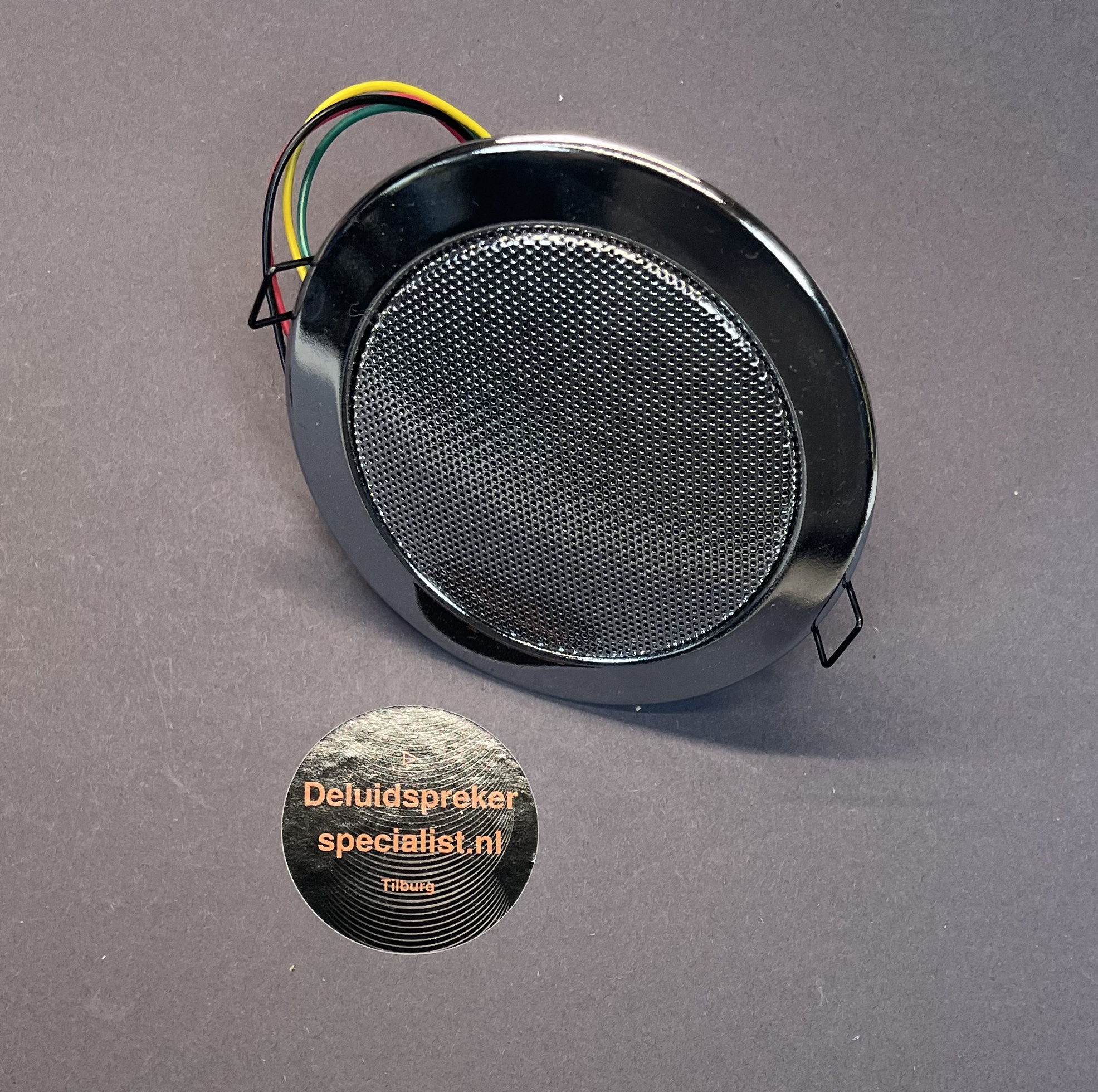 EAGLE Ceiling Speaker Crome