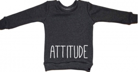 Attitude sweater