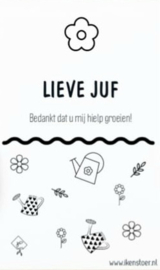 Kaartje | Mini | Lieve Juf