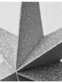 Sterren | Papier | Zilver| Glitters | Set 2 stuks