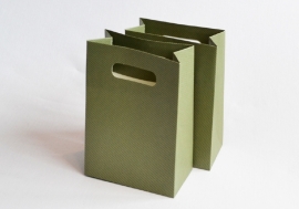 Tas | Cadeau | Papier | Groen | 13x18x7 cm