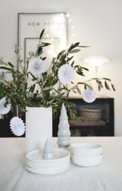Ornament | Wit