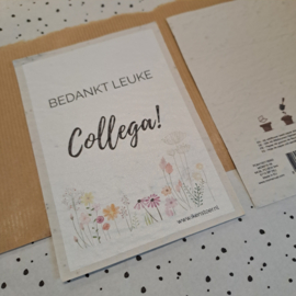 Groeikaart | Wilde bloemenzaadjes Collega