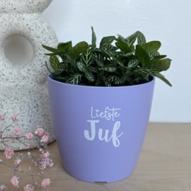 Bloempot | Lila | Juf
