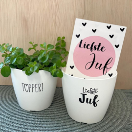 Bloempot | Wit | Juf