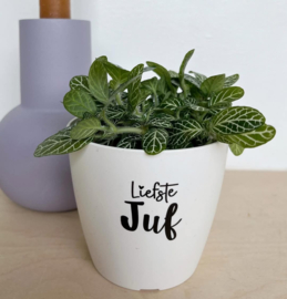 Bloempot | Wit | Juf