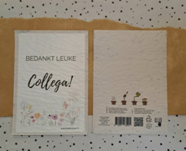 Groeikaart | Wilde bloemenzaadjes Collega