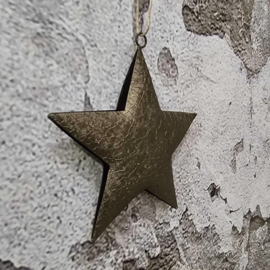 Hanger | Ster| Metaal | 12x2 cm