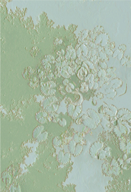 Waterlelie Relief Groen