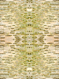 Bark Klimt