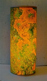 Lichen Green-Orange