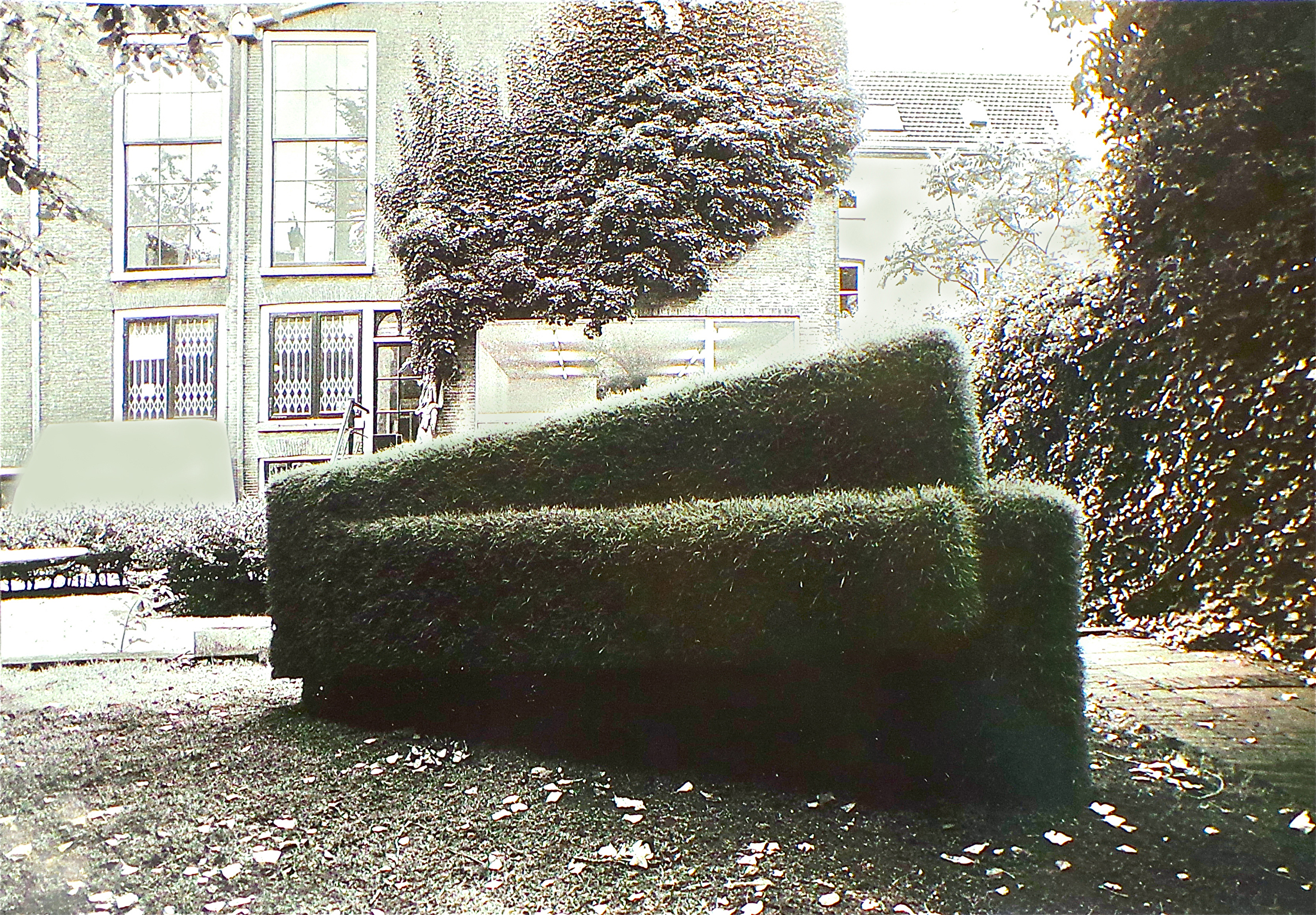 gras
