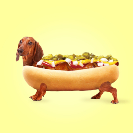 1205