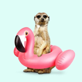 1221