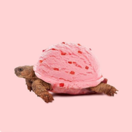 1204