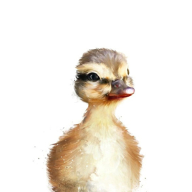 2228