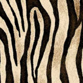 Siser Easy Pattern -Wild Zebra (30cmx50cm) + TTD